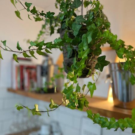 Charming Appartement In The Heart Of バルセロナ エクステリア 写真