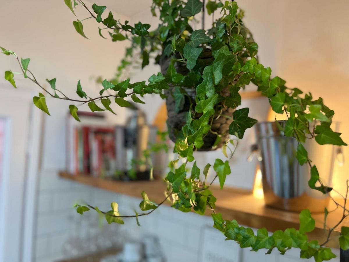 Charming Appartement In The Heart Of バルセロナ エクステリア 写真